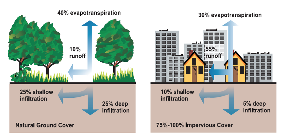 Water cycles in nature vs. urban areas