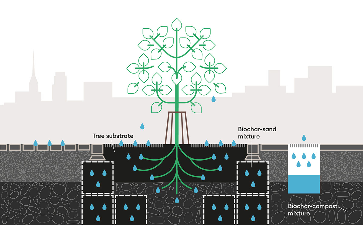 City tree in blue-green infrastructure