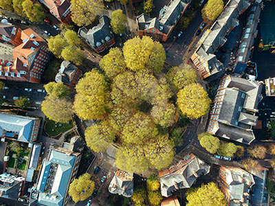 Bird-view of a city-park with trees, surrounded by houses and streets.