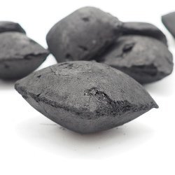 Brikettierte Pflanzenkohle